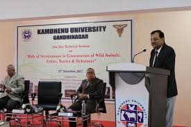 Kamdhenu University Gandhinagar Fest Life photo 7